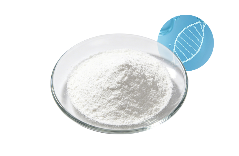 Pure L Carnitine Powder
